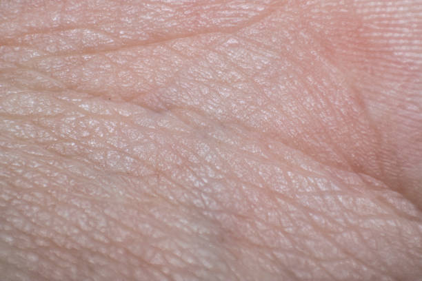 istock skin texture in your details 1068955188