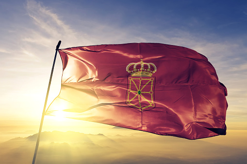 Navarre autonomous community of Spain flag on flagpole textile cloth fabric waving on the top sunrise mist fog