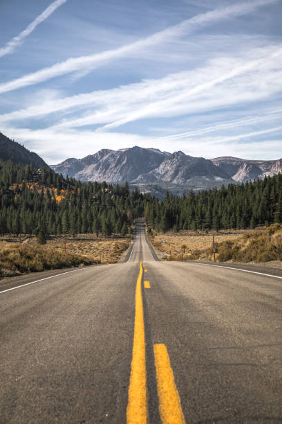 Scenic straight mountain highway road with peak yellow fall colored trees lining street. Mountain peak in background, blue sky