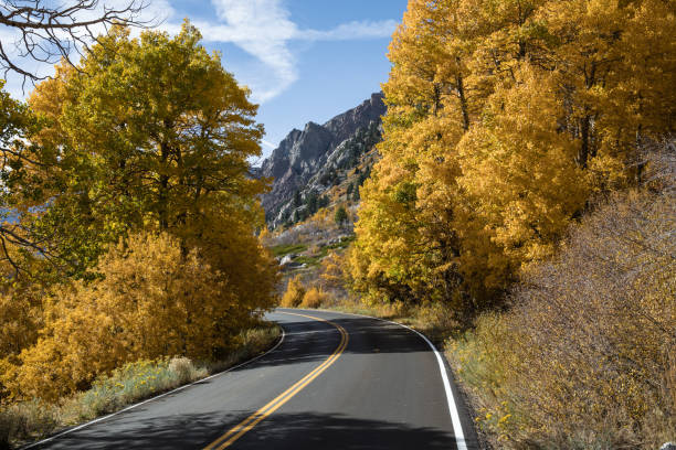 istock Scenic curving mountain road with peak yellow fall colored trees lining street. Mountain peak in background, blue sky 1068965256