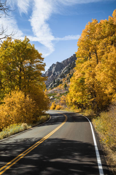 istock Scenic curving mountain road with peak yellow fall colored trees lining street. Mountain peak in background, blue sky 1068965306