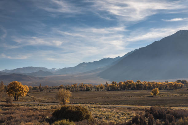 istock Eastern Sierras in Autumn with fall colored trees lining valley, in front of mountain range. Rigid mountain peaks 1068969004