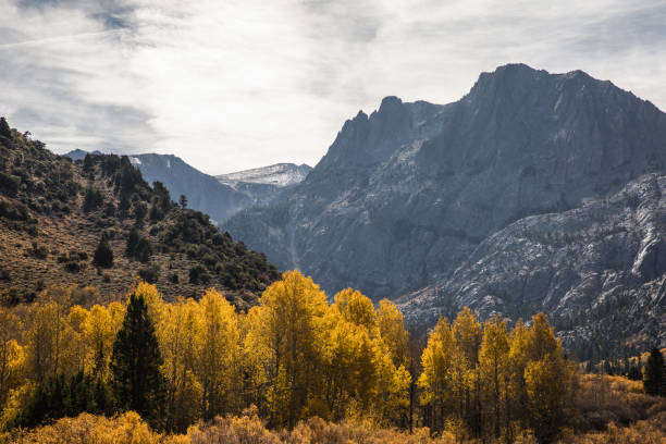 istock Eastern Sierras in Autumn with fall colored trees in foreground 1068969080