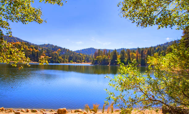 istock The color of lake. 1068969128