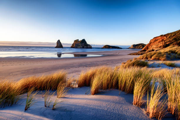 Landscape image of sunset at coastline in New Zealand Explore the wild and rugged northern most point of the South Island, New Zealand. Wharariki Beach is a beautiful tourist attraction and destination. The image is peaceful, breathtaking and amazing. new zealand stock pictures, royalty-free photos & images