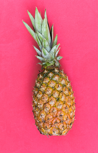 Pineapple, delicious exotic tropical fruit. Pink background.