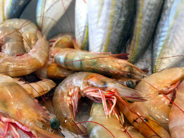 istock Raw Fresh Seafood Fishes on Ice 1068995684
