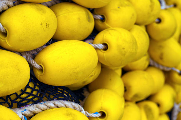 Abstract Industry Maritime Fishnet Ropes Fishing Lines Photo