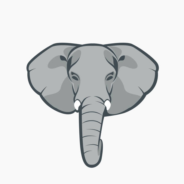 elefant-vektor-logo-symbol - elephant head stock-grafiken, -clipart, -cartoons und -symbole