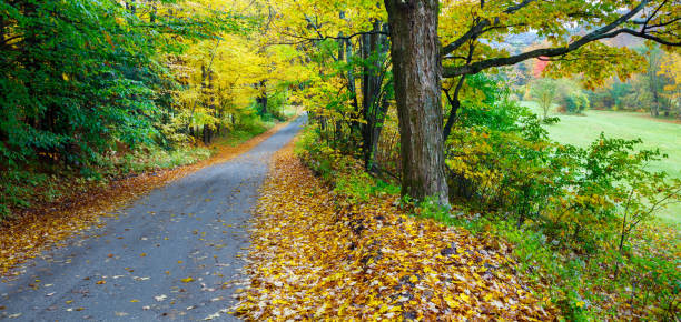 Autumn Country Road in New England