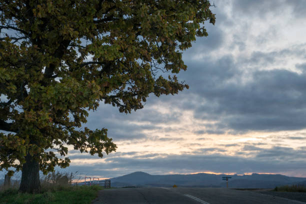 hokkaido-sonnenuntergang-vdcm100-3 - biei stadt stock-fotos und bilder