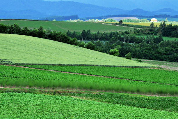 istock Spring of Hokkaido VDCM100-3 1069021258
