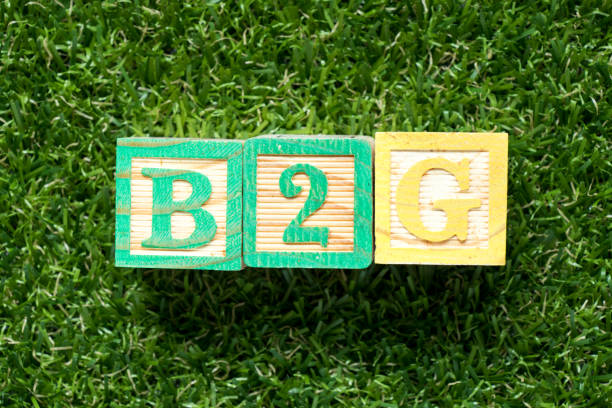 istock Color wood block in word B2G (abbreviation of business to government) on artificial green grass background 1069026828