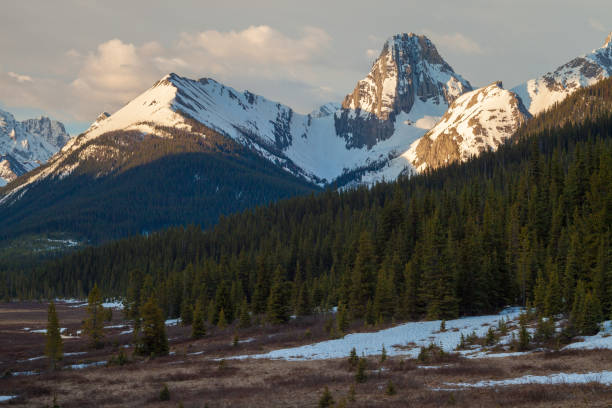 istock The mountains and a meadow in Kananaskis Alberta 1069030496