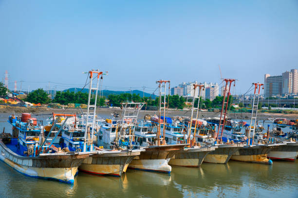Fishing Boats in a Harbour