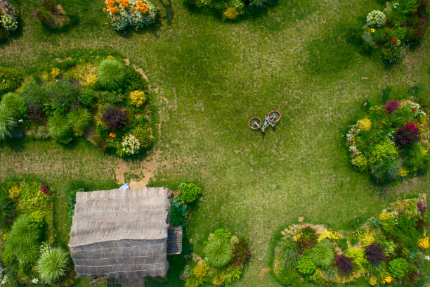 Multiple colors of plants viewed from the air