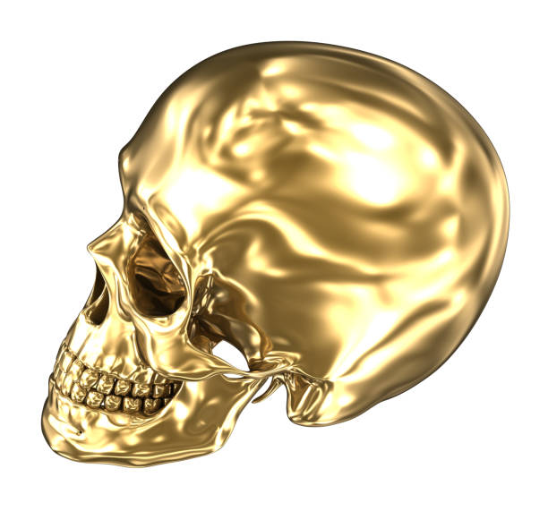 istock Golden human skull over white , 3D illustration 1069077568