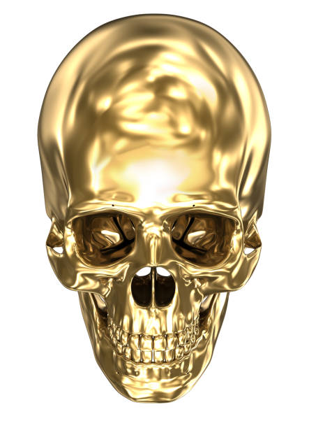 istock Golden human skull over white , 3D illustration 1069077604