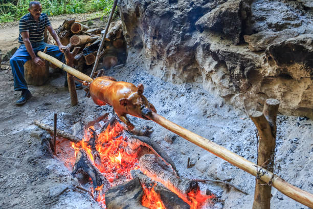 Man cooking a piglet on a outdoors wooden spit in the Sierra del Escambray, Escambray Mountains, a mountain range with caves, rivers, waterfalls, and canyons in central  Cuba, in the provinces of Sancti Spíritus, Cienfuegos and Villa Clara.