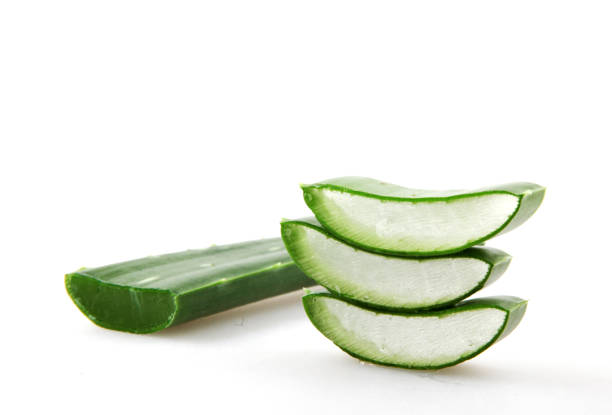 istock Aloe Vera Plant Isolated On White 1069089822