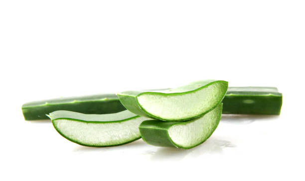 istock Aloe Vera Plant Isolated On White 1069089880