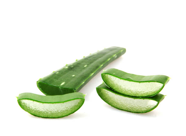 istock Aloe Vera Plant Isolated On White 1069089890