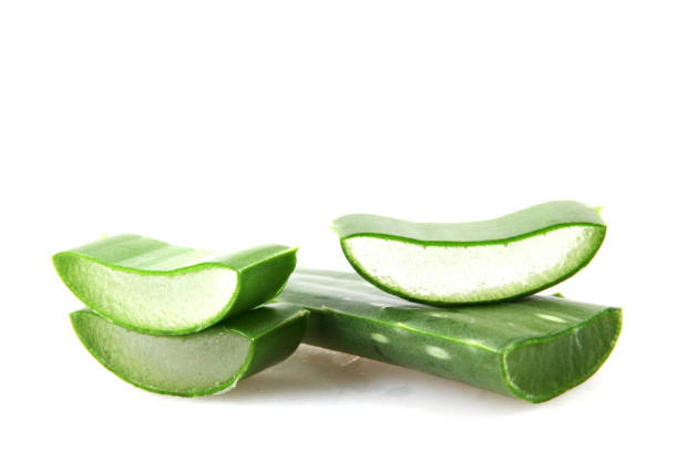 istock Aloe Vera Plant Isolated On White 1069089902