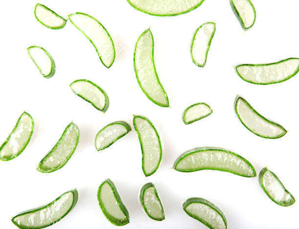 istock Aloe Vera Plant Isolated On White 1069089922