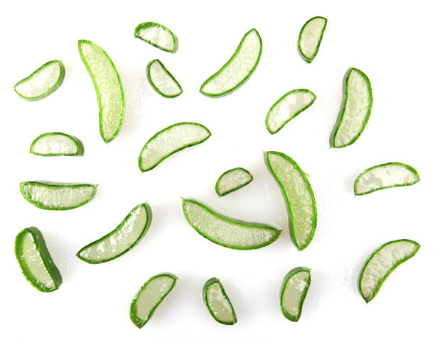 istock Aloe Vera Plant Isolated On White 1069089924