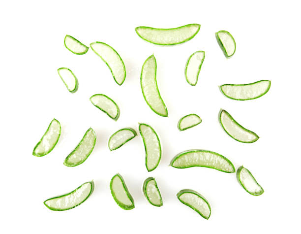 istock Aloe Vera Plant Isolated On White 1069089940