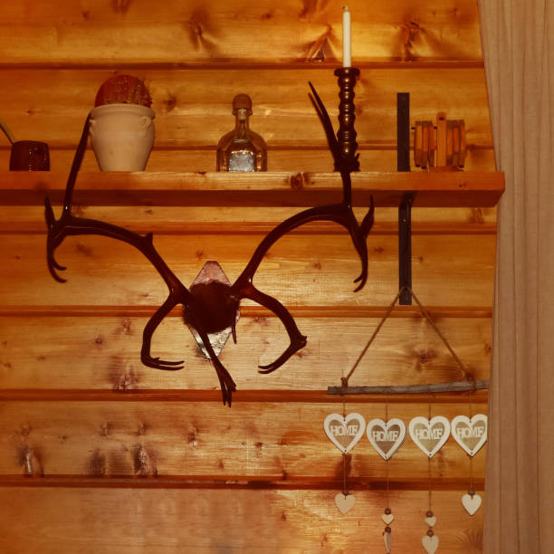 antlers and a shelf with decor on a wooden wall