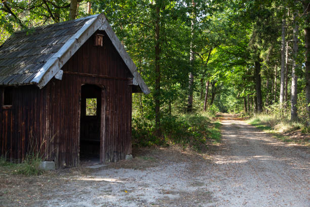 istock Blind in Meinweg National Park 1069095912