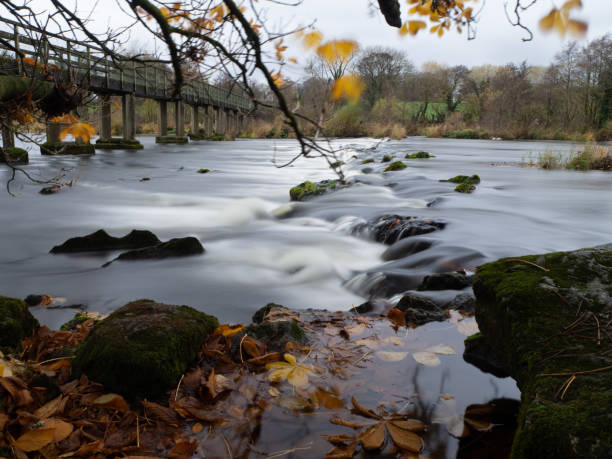 istock Stepping stones on the river Shannon 2 1069101968