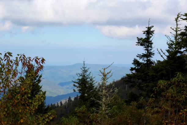 istock Sunny Day in the Smokies 1069105982