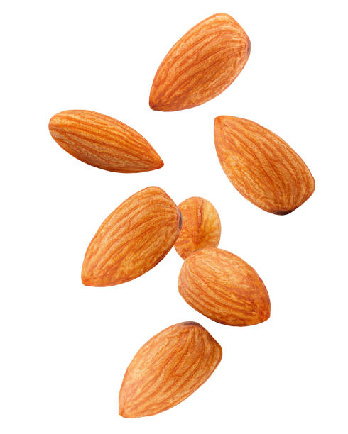 Falling almond isolated on white background, clipping path, full depth of field stock photo