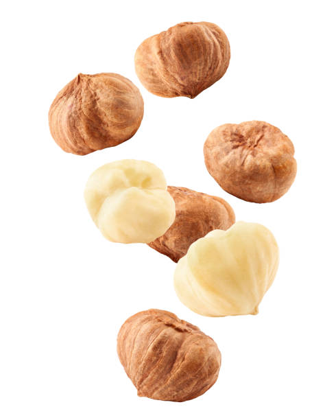 Falling hazelnut peeled, isolated on white background, clipping path, full depth of field Falling hazelnut peeled, isolated on white background, clipping path, full depth of field hazelnut stock pictures, royalty-free photos & images