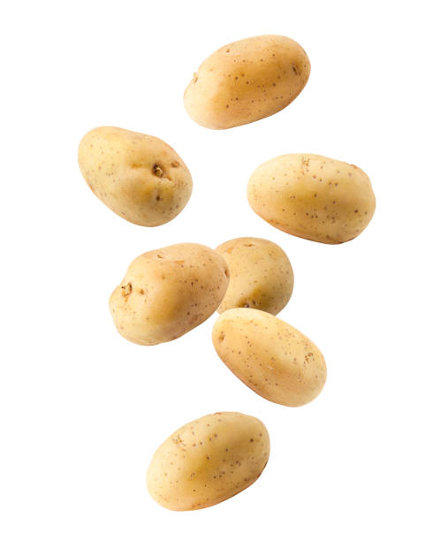 Falling potato, isolated on white background, clipping path, full depth of field Falling potato, isolated on white background, clipping path, full depth of field levitation photos stock pictures, royalty-free photos & images