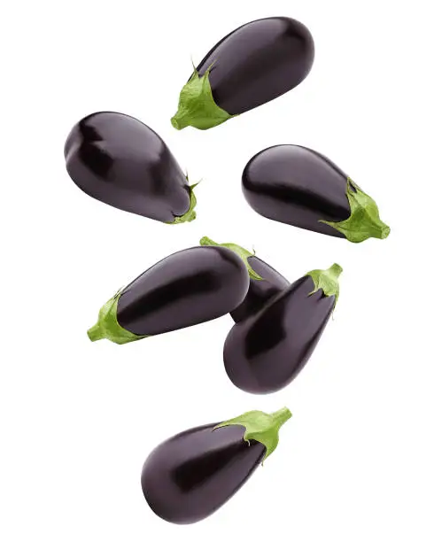 Falling eggplant isolated on white background, clipping path, full depth of field