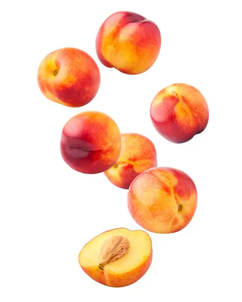 Photo of Falling Nectarine or peach isolated on white background, clipping path, full depth of field