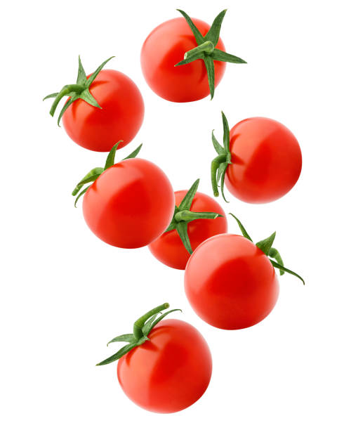 queda tomate cereja isolado no fundo branco, traçado de recorte, toda a profundidade de campo - tomato small food vegetable - fotografias e filmes do acervo