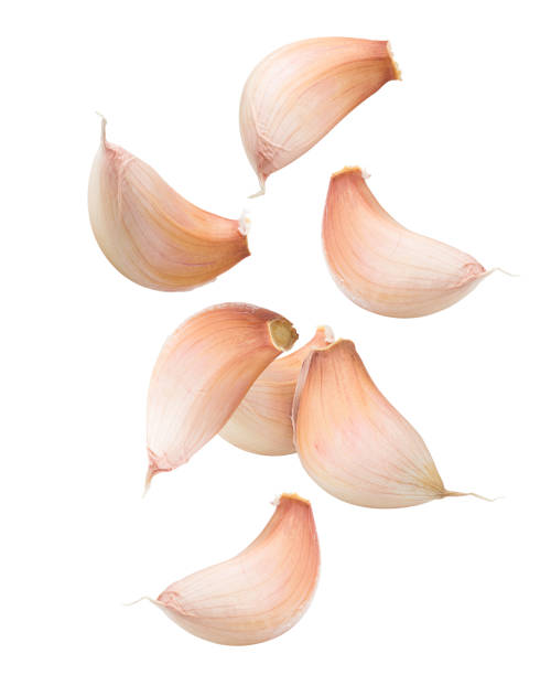 Falling garlic, isolated on white background, clipping path, full depth of field stock photo