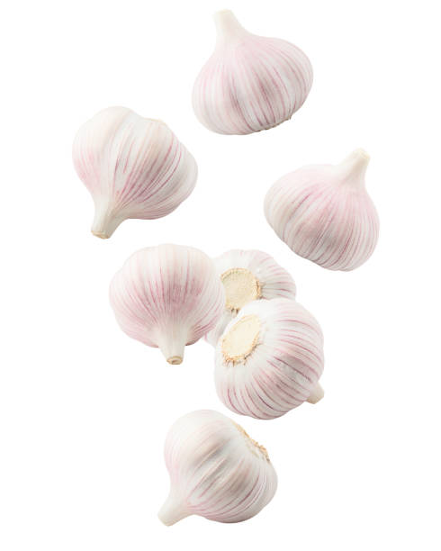 falling garlic, isolated on white background, clipping path, full depth of field - garlic freshness isolated vegetarian food imagens e fotografias de stock