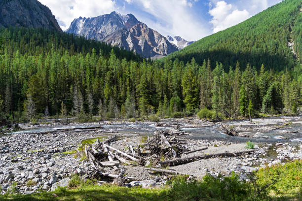 istock Altai Mountains. The Shawla River. Siberia, Russia. 1069107230