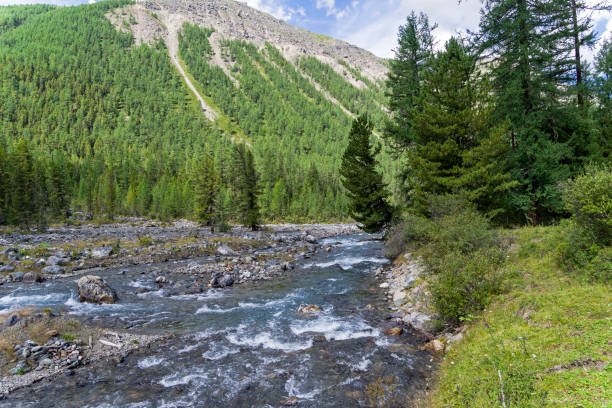 istock Altai Mountains. The Shawla River. Siberia, Russia. 1069107262