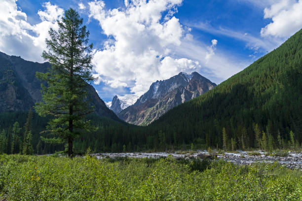 Altai Mountains. The Shawla River. Siberia, Russia.