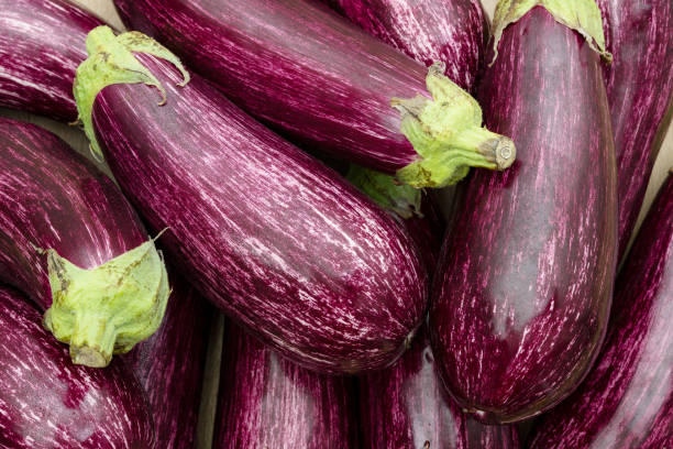 berenjena fresca del mercado diario - eggplant fotografías e imágenes de stock