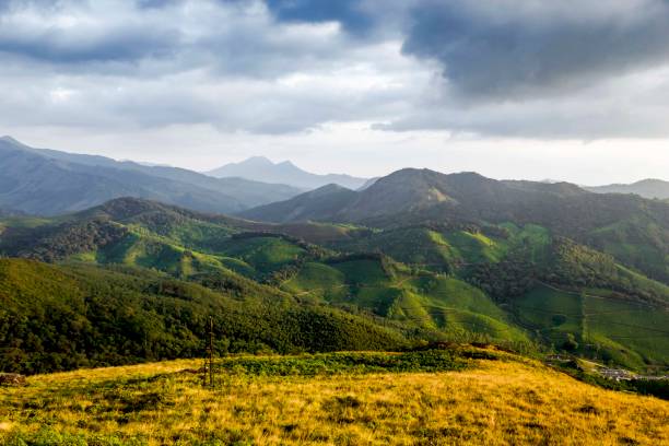 istock A meadow landscape - Gods own country 1069114510