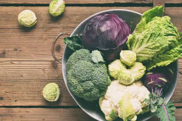 Photo of Different varieties of cabbages on wooden background. Organic fresh vegetables - cauliflower, kohlrabi, broccoli, purple cabbage. Raw food. Healthy food