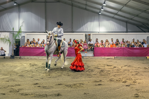 Malaga, Spain - August 11, 2018. Traditional Spanish horse riding and a flamenco dancer during a fiesta Feria de Malaga, Costa del sol, Andalucia, Spain