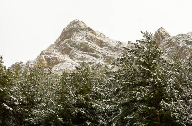 paisaje de invierno en león, españa, con pino forrest en el primer plano y la nieve cubre las montañas en el fondo, - snowboard non urban scene woods snowboarding fotografías e imágenes de stock